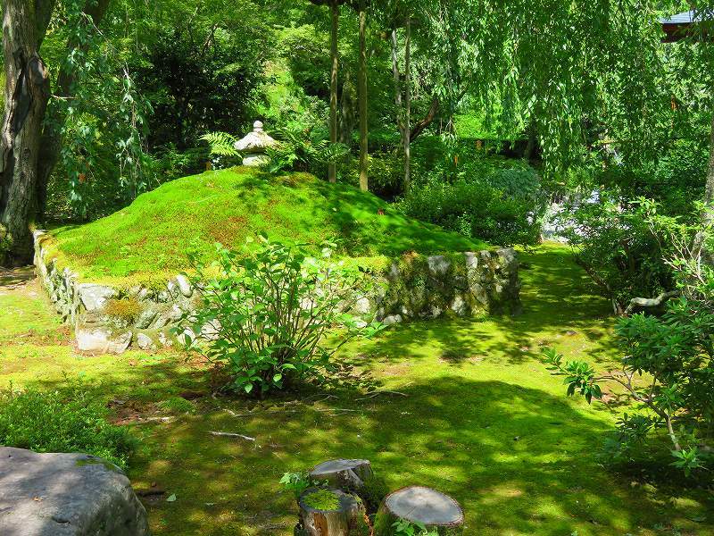 天龍寺(嵐山)の境内20180709_e0237645_17341961.jpg