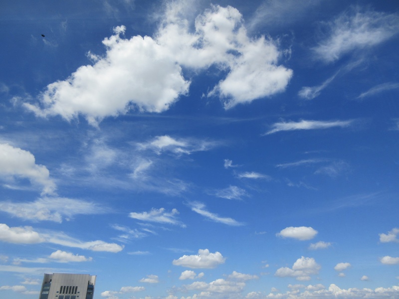b0009849_9523142.jpg