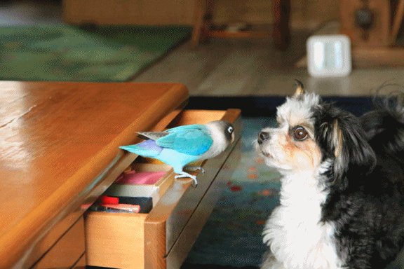 c0145250_16522549.gif
