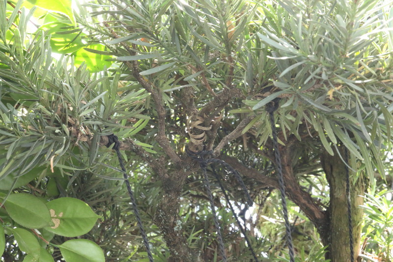 c0074553_14343662.jpg