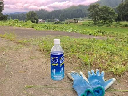 a0346455_10562310.jpeg