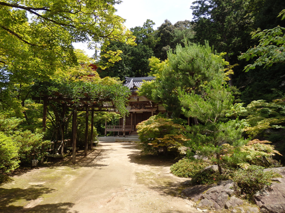 獨鈷山 鏑射寺 とっこさん かぶらいじ 浜本隆司ブログ オーロラ ドライブ