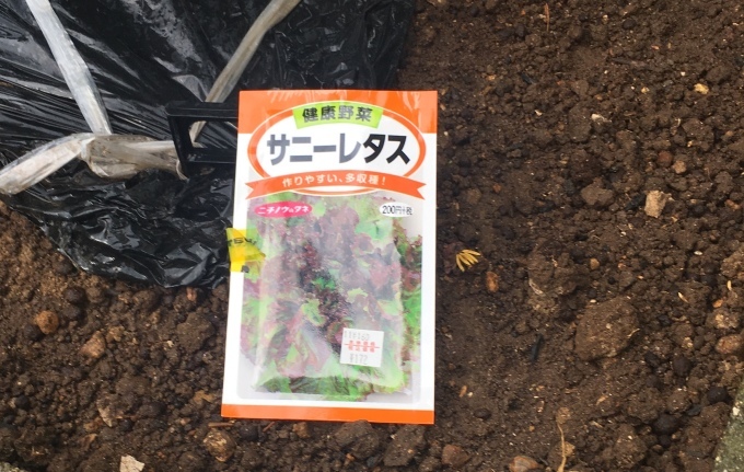 e0082956_05393263.jpeg