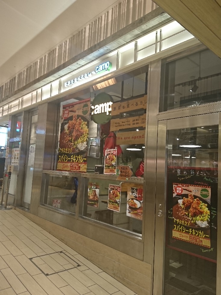 野菜たっぷりのカレーを食べるつもりが… 野菜を食べるカレーcamp_b0371961_09092608.jpg