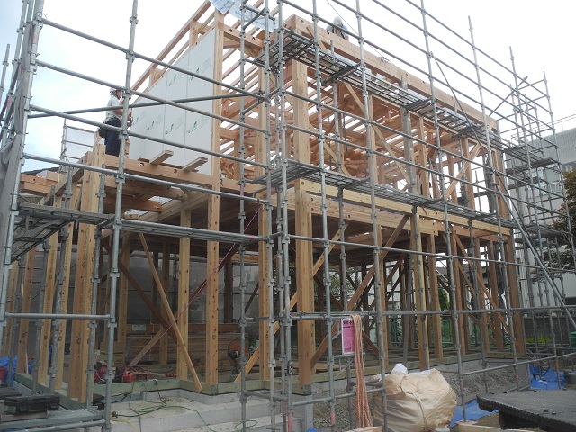 c0247768_84082.jpg