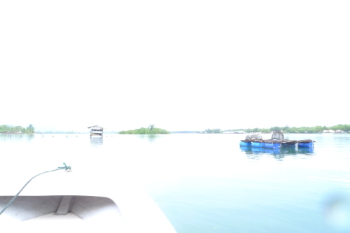 d0193569_06542287.jpg