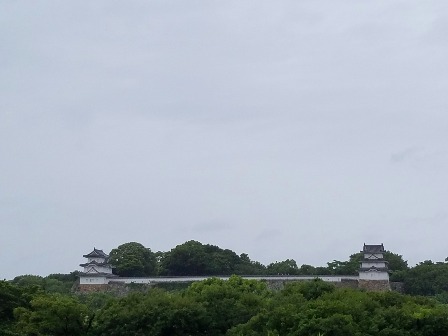 e0382369_23323392.jpg