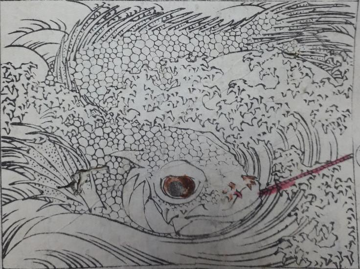 【絵師塔婆考】葛飾北斎の両墓制的な祀られ方(誓教寺、法性寺、生誕地妄想、兄妹墓、遍照院、北斎忌、波の伊八)【浅草、本所、柳島妙見、妙法寺、南房にて波を見・・・】_b0116271_15331747.jpg