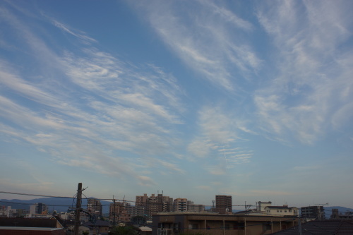 c0169176_07455024.jpg
