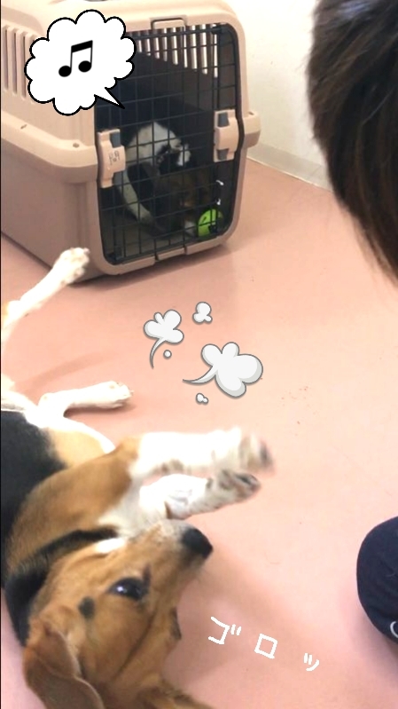 トレーニングブログ_f0357682_18534257.jpg