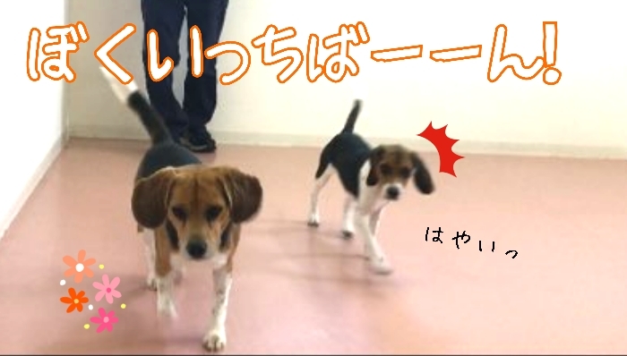 トレーニングブログ_f0357682_21360007.jpg