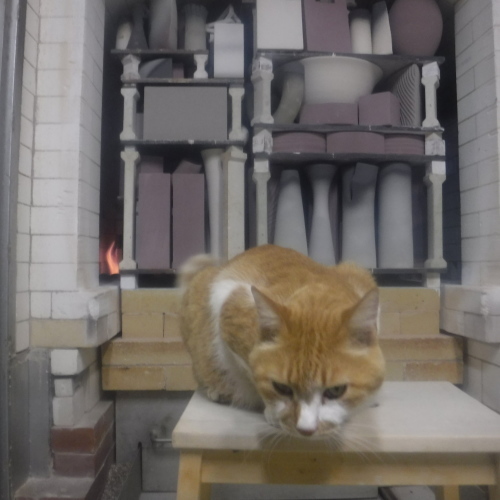 窯焚き  （ NO 291）_d0195183_21161758.jpeg