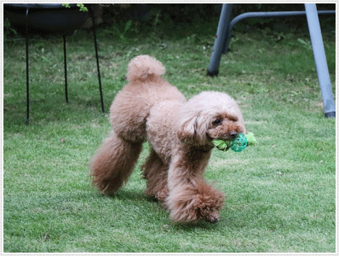 b0175688_23172719.gif