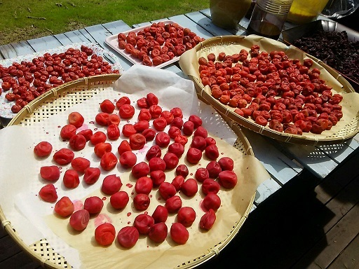 b0266191_09063934.jpg