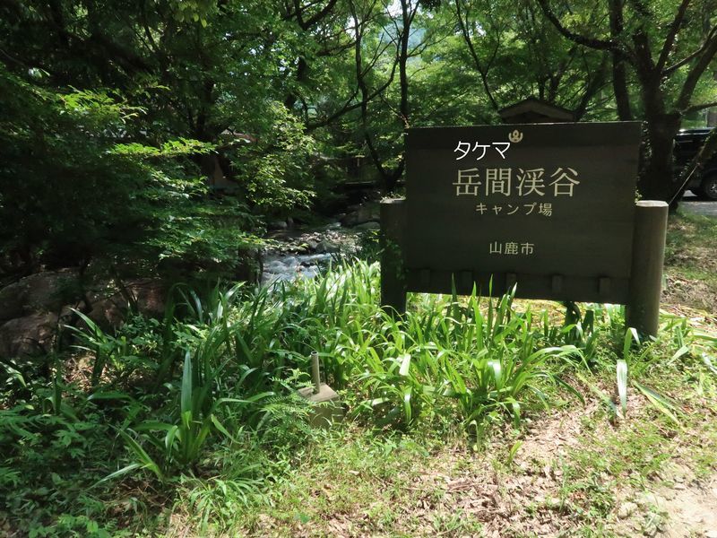 f0059498_22304733.jpg