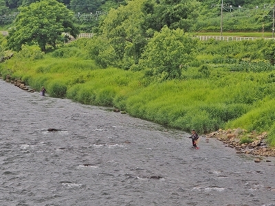 c0336902_21564692.jpg