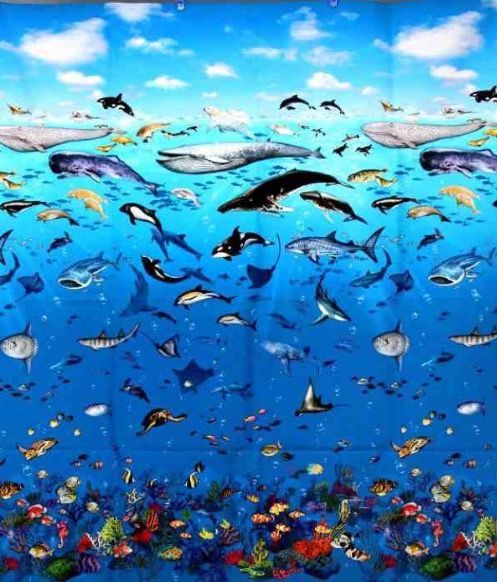 夏は海だ 海の生き物柄の布_d0156706_15382526.jpg