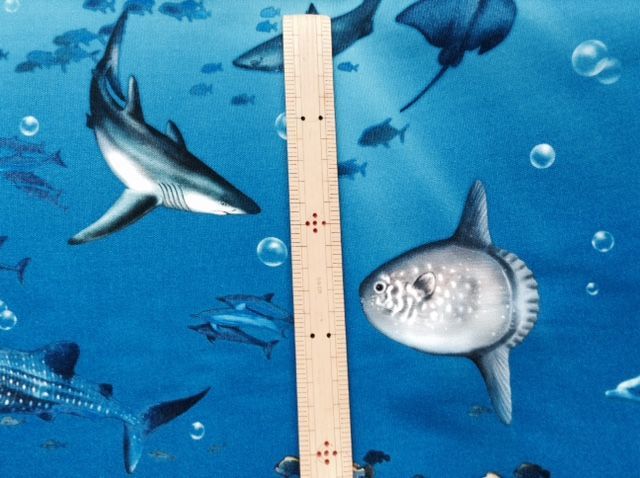 夏は海だ 海の生き物柄の布_d0156706_15540287.jpg
