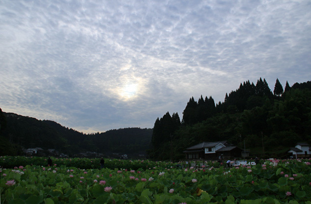 b0014607_12031893.jpg
