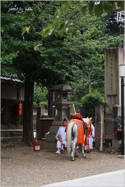 神の使い。_b0311208_17443174.jpg