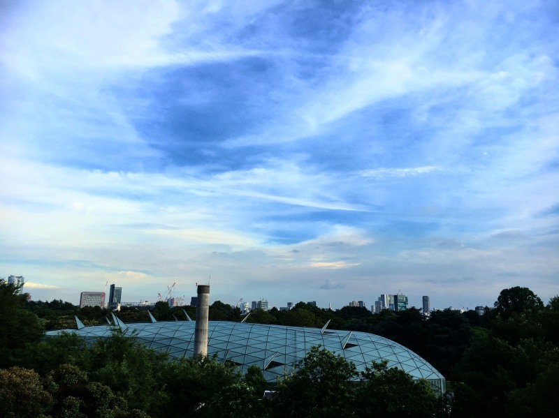 d0115609_14182647.jpeg