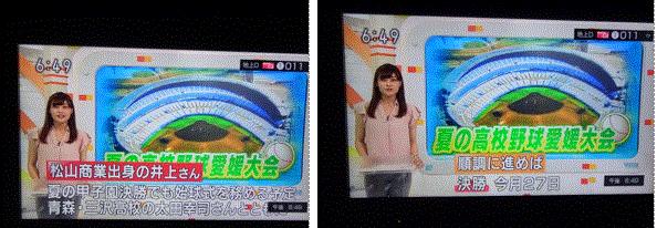 f0231709_16554172.gif