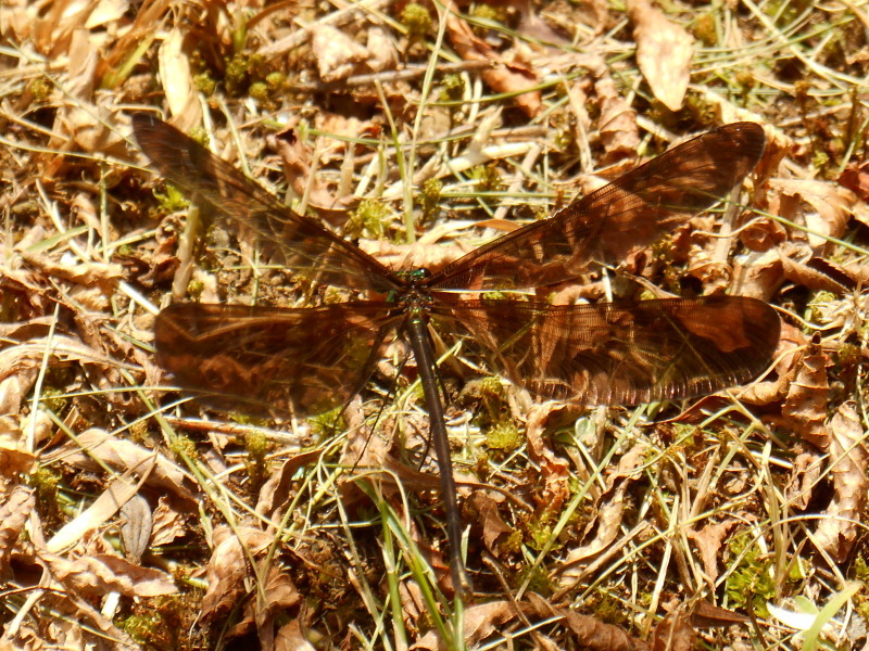 d0371812_10553407.jpg