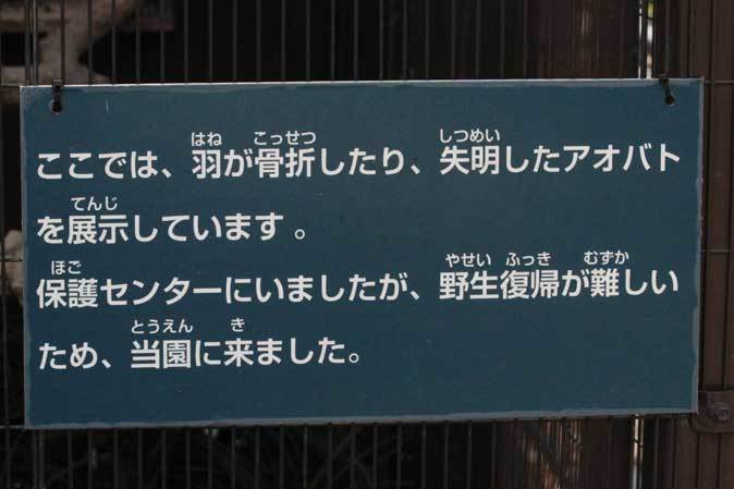 b0355317_22374400.jpg
