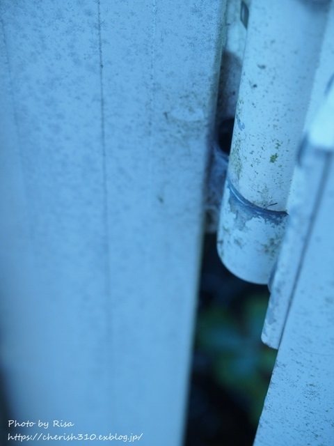 c0274618_18190373.jpg