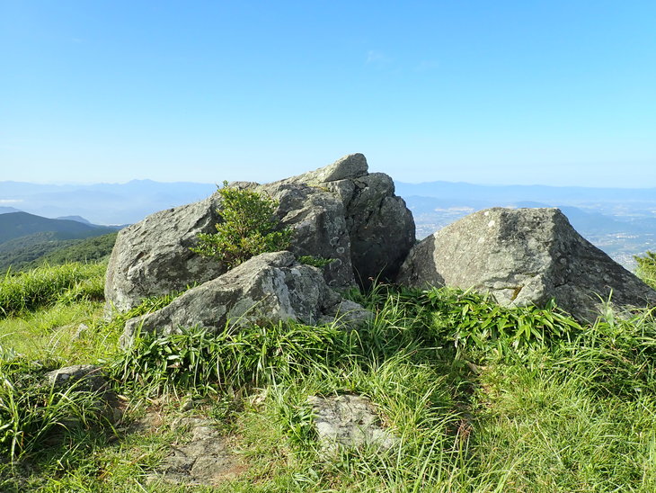 f0193521_1001218.jpg