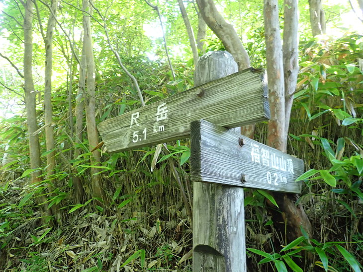 f0193521_17323779.jpg
