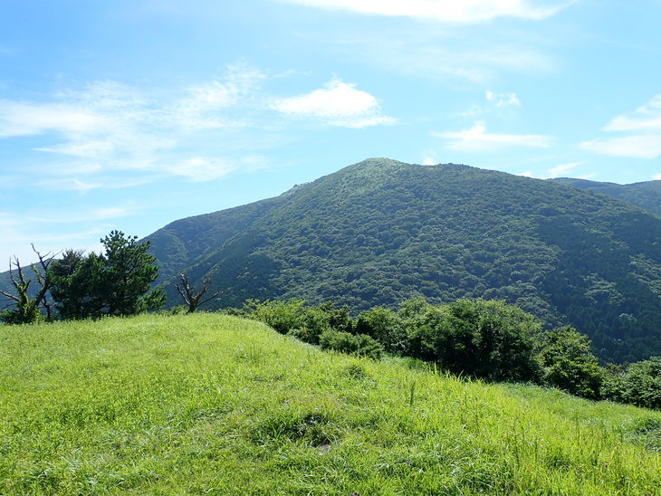 f0193521_1749851.jpg