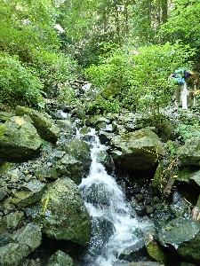 f0193521_1751379.jpg