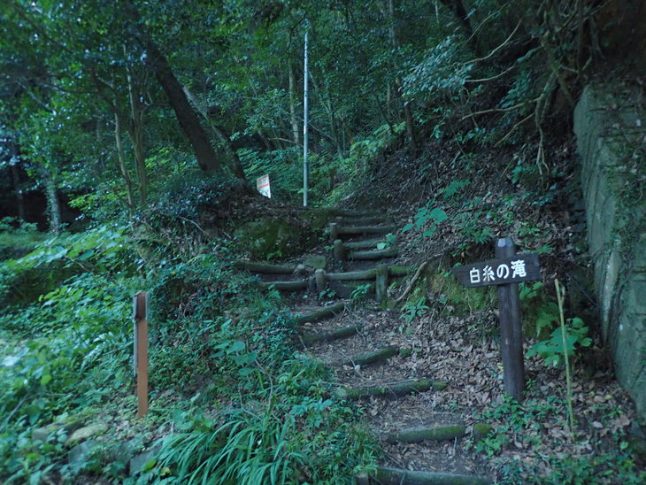 f0193521_944297.jpg