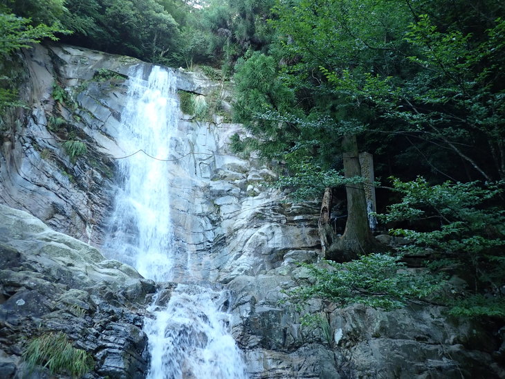 f0193521_9484370.jpg