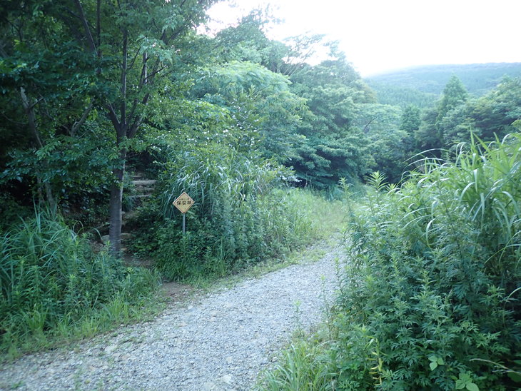 f0193521_9531331.jpg