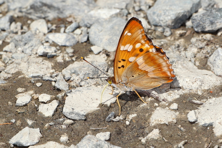 e0337826_22175940.jpg