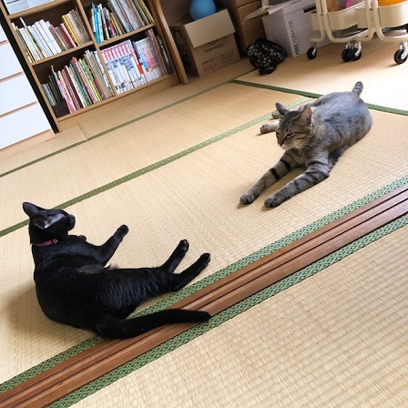c0367433_12300126.jpeg