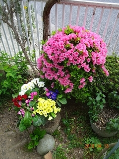 c0147935_22010881.jpg