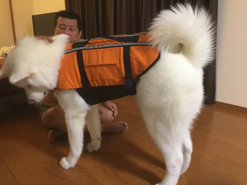 e0364035_01284701.jpeg