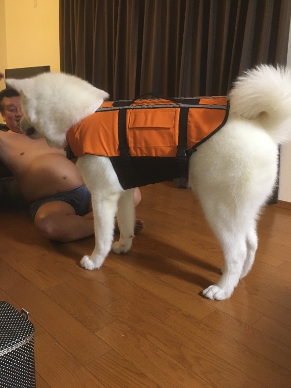 e0364035_02273424.jpeg