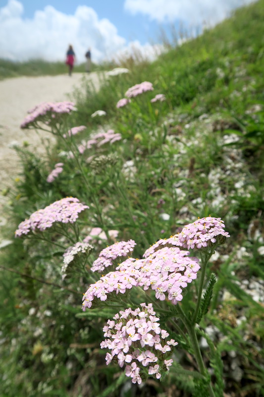 f0234936_4411449.jpg