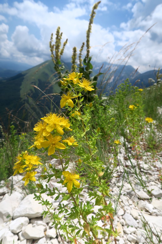 f0234936_4565518.jpg