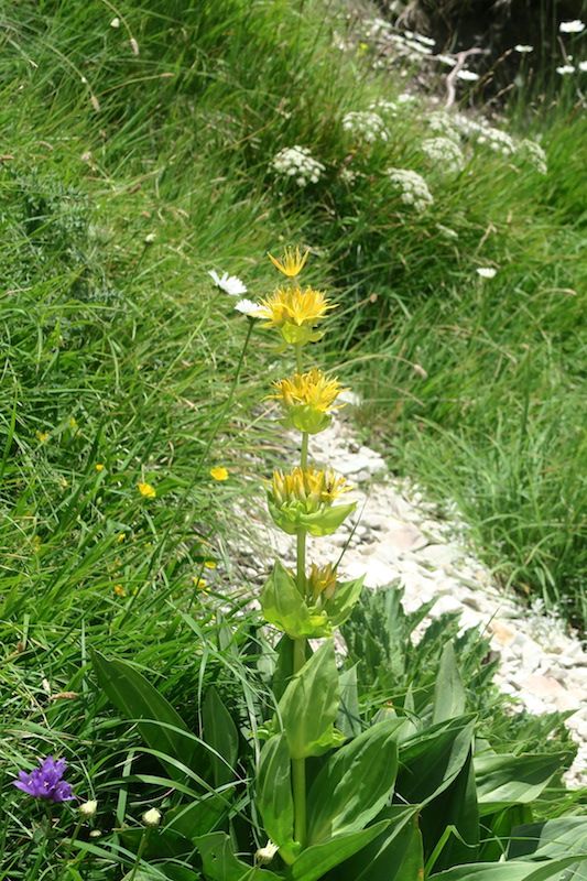 f0234936_5132694.jpg