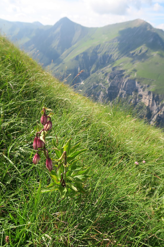 f0234936_5362835.jpg