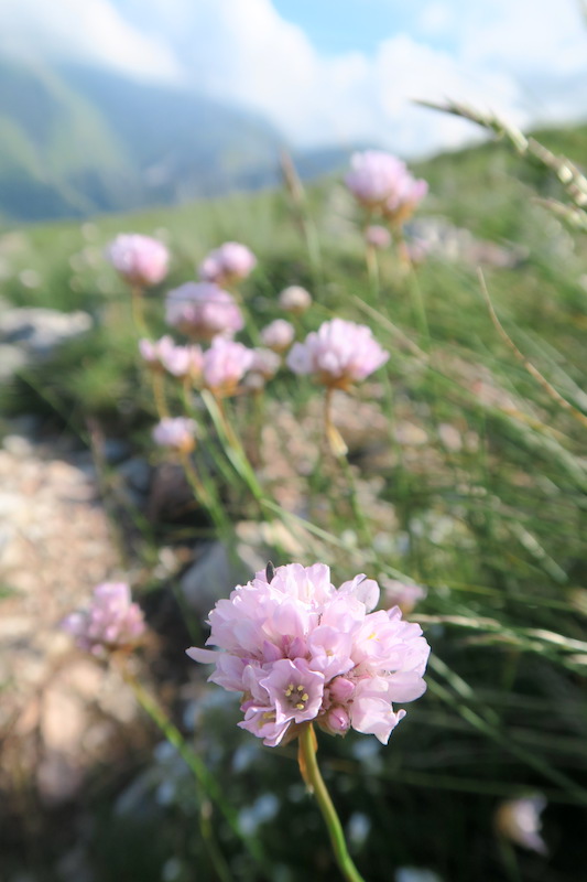 f0234936_555251.jpg