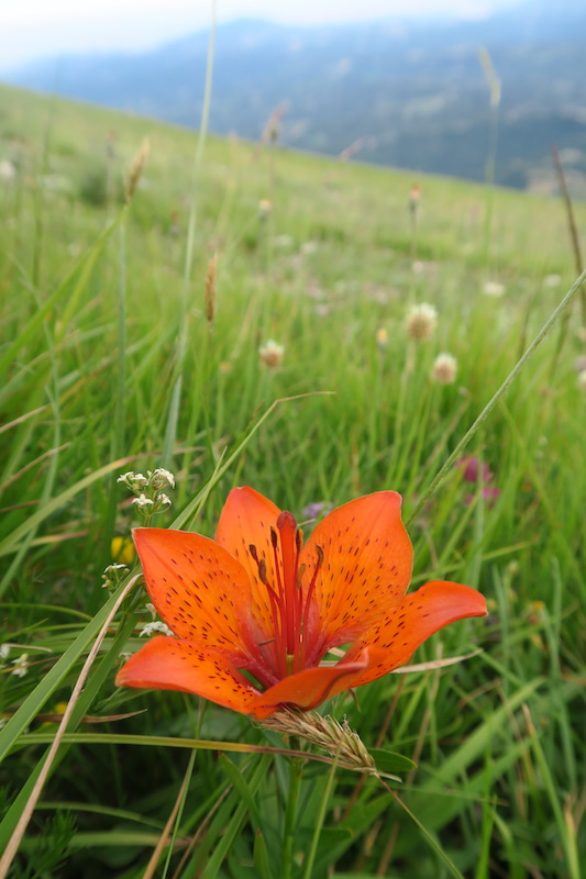 f0234936_66687.jpg