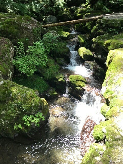 e0185939_12043382.jpg