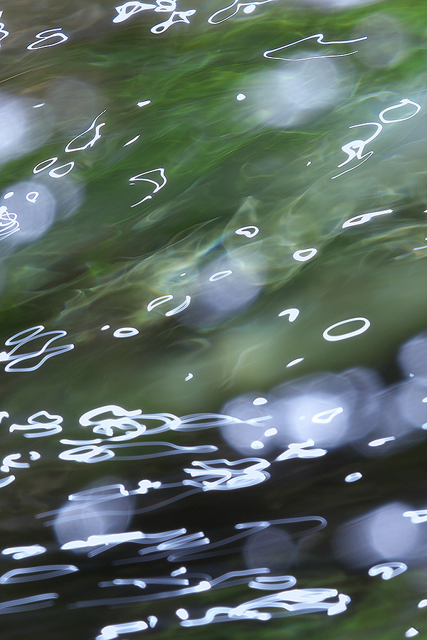 水面の光跡 II_d0360547_07045041.jpg