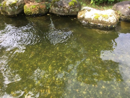 a0346455_16481836.jpeg